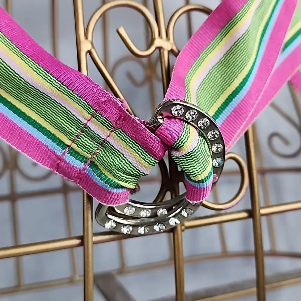 Vintage Striped Preppy Belt with Double Silver tone Metal Rhinestone Buckles